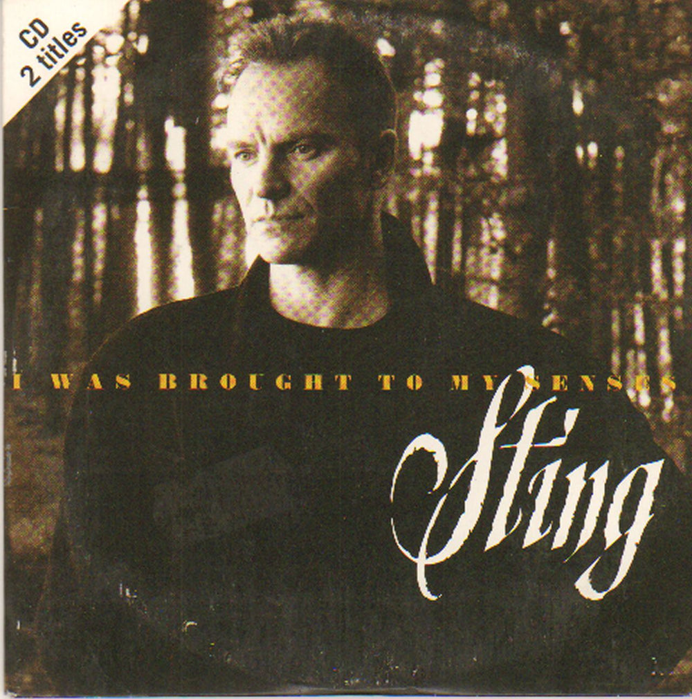 Sting I Was Brought To My Senses German CD single (CD5 / 5") 581788-2