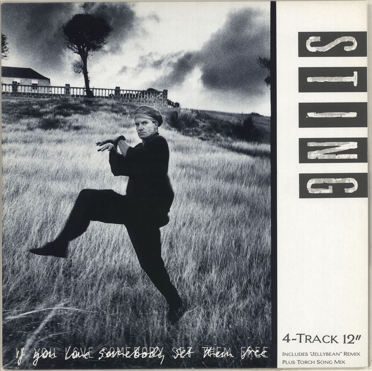 Sting If You Love Somebody Set Them Free Japanese Promo 12