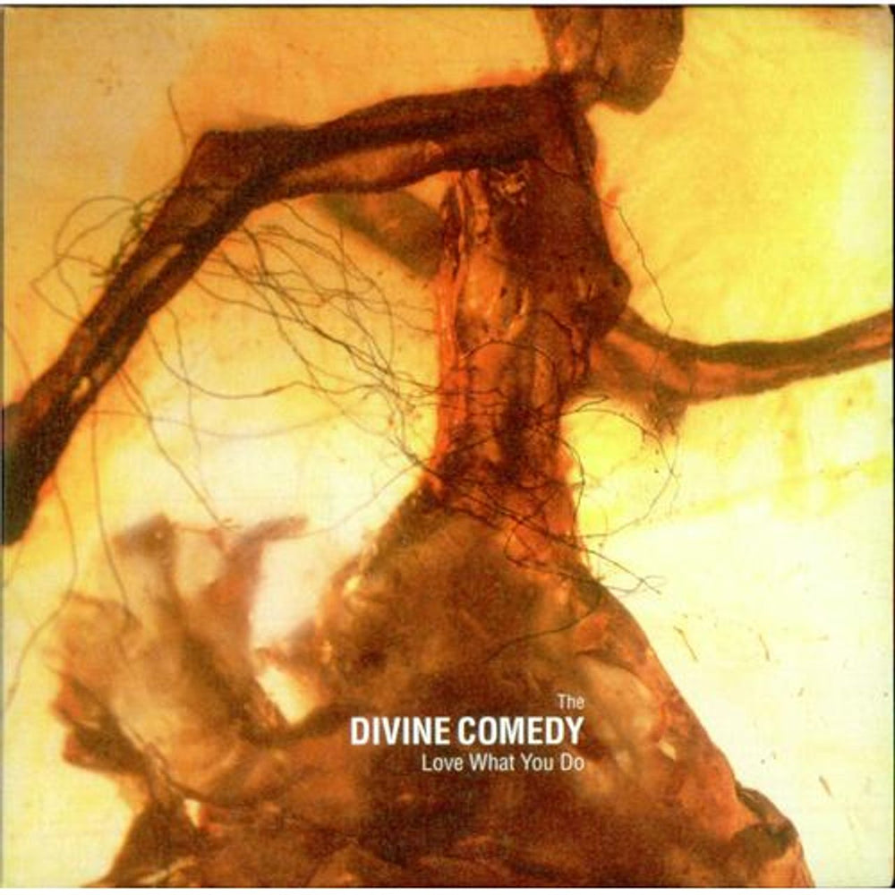 The Divine Comedy Love What You Do UK Promo CD single (CD5 / 5") DCDJ002