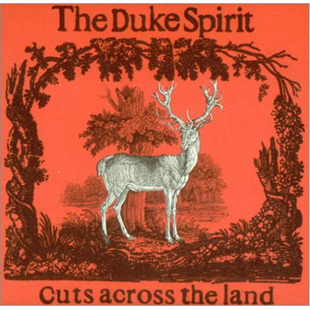 The Duke Spirit Cuts Across The Land UK Promo CD album (CDLP) DUKESPIRIT9