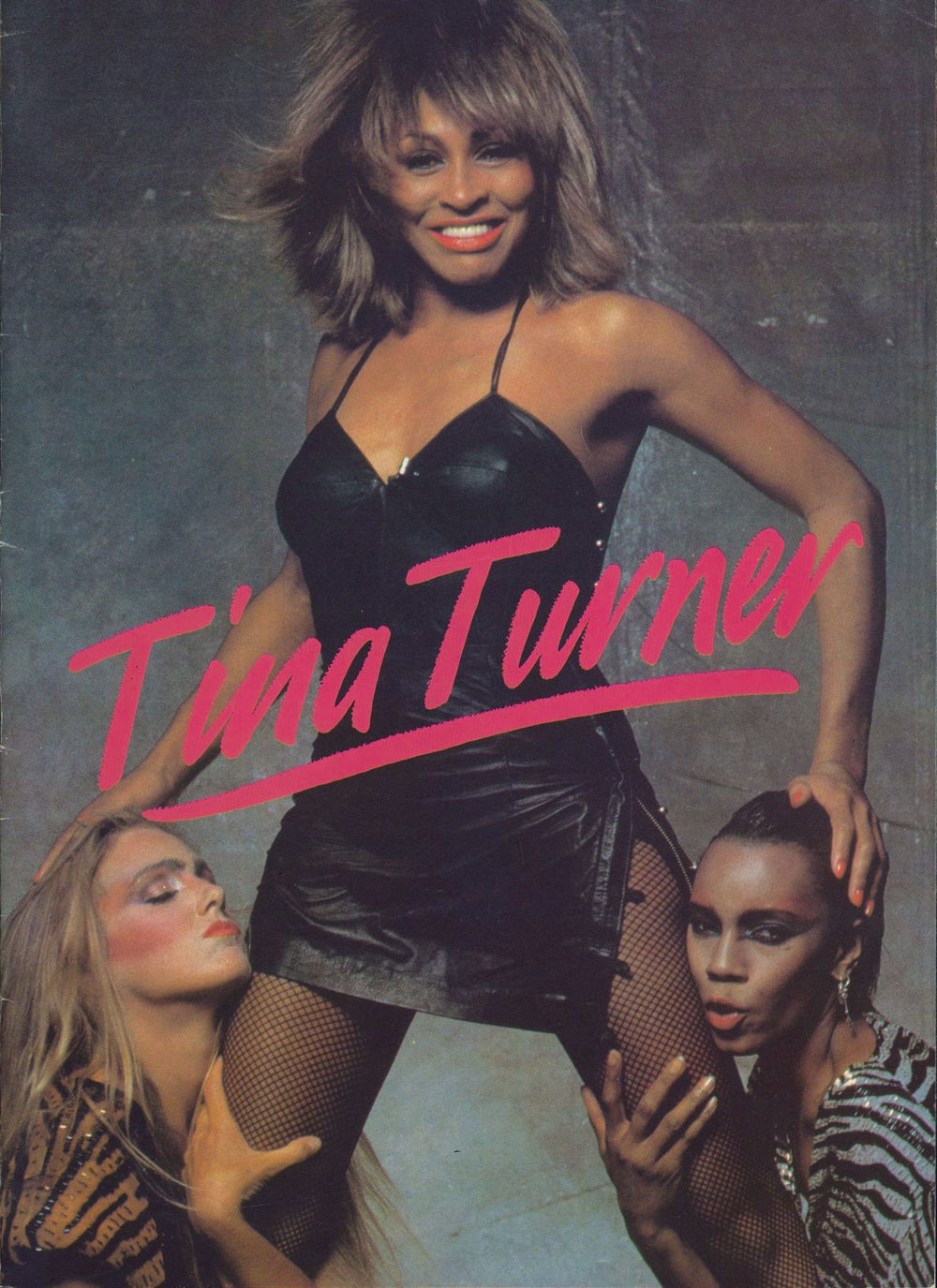 Tina Turner UK Tour 1984 + Ticket Stub UK tour programme