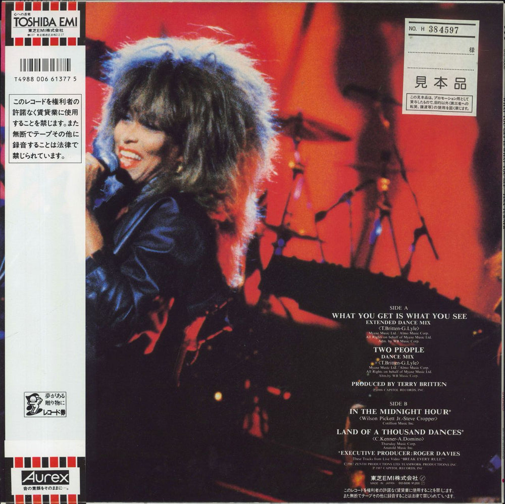 Tina Turner What You Get Is What You See Japanese Promo 12" vinyl single (12 inch record / Maxi-single) 4988006613775