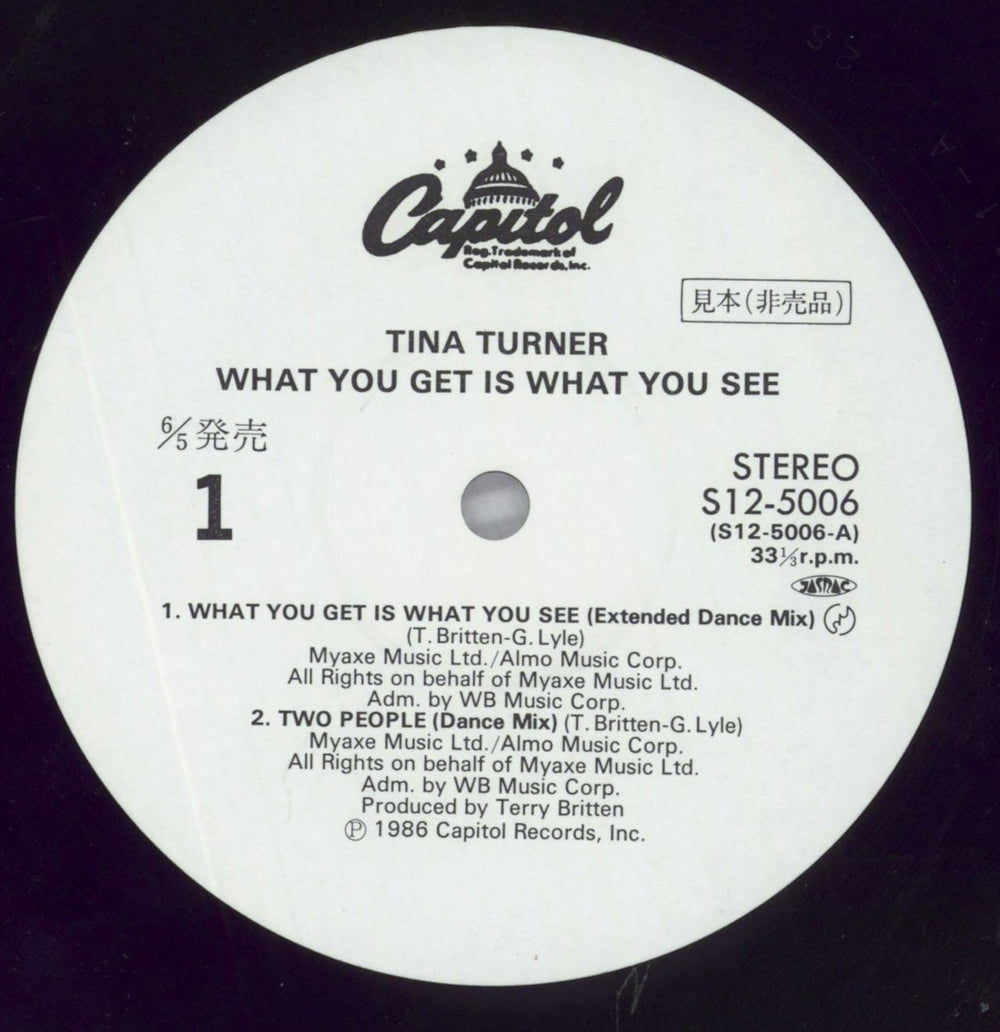 Tina Turner What You Get Is What You See Japanese Promo 12" vinyl single (12 inch record / Maxi-single) TUR12WH122902