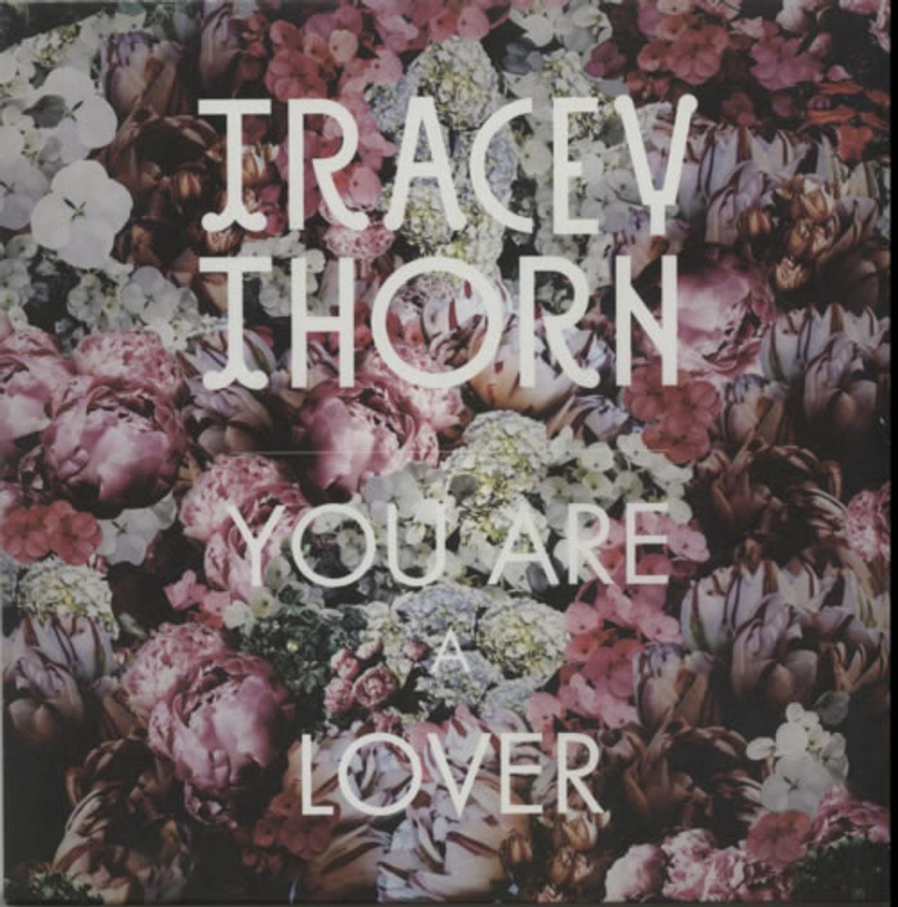 Tracey Thorn