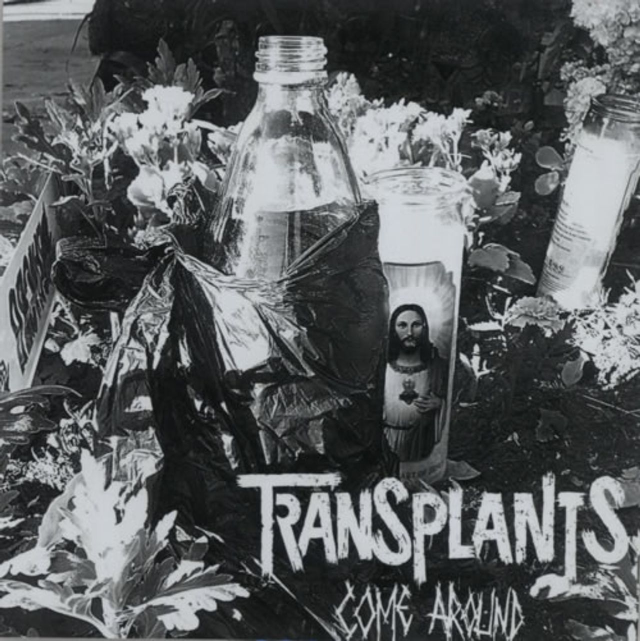 Transplants