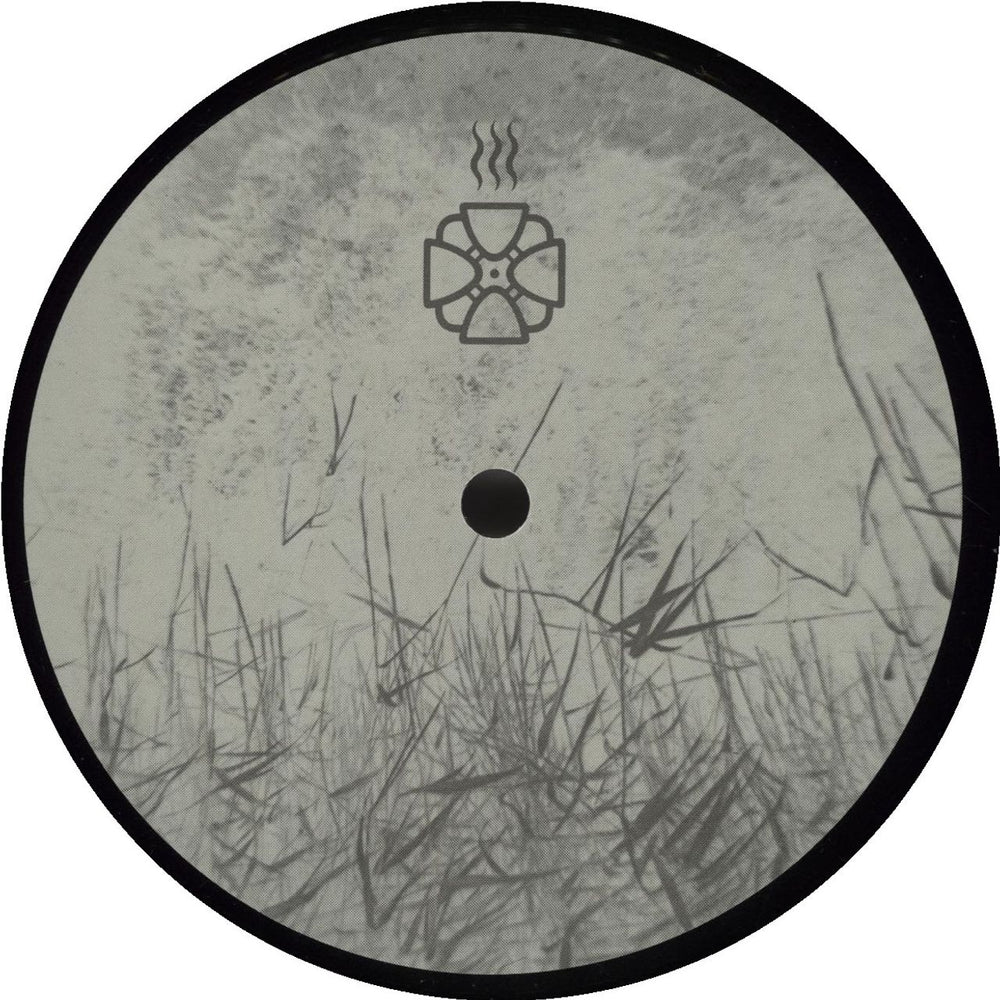 Various-Ambient & Electronica Arcana Cœlestia: Nexus One - An International Musical Explorer Swedish vinyl LP album (LP record)