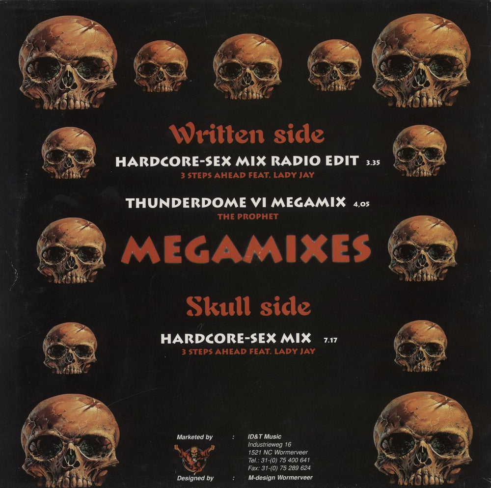 Various-Dance Thunderdome VI - The Megamixes Dutch 12" vinyl single (12 inch record / Maxi-single)
